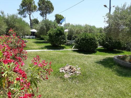 Apartamento Dimi Seafront