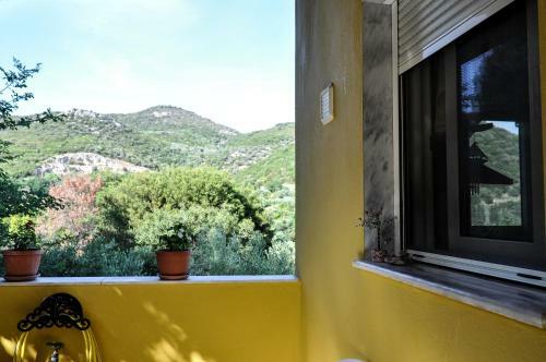 Martha's Villa