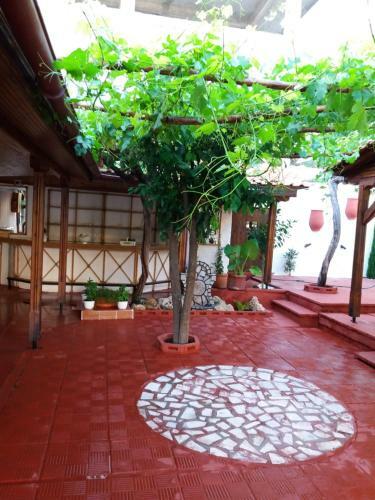 Apartamento Fidgi
