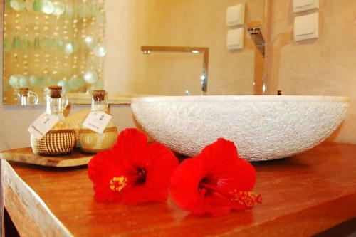 Hotel Les Pal�tuviers