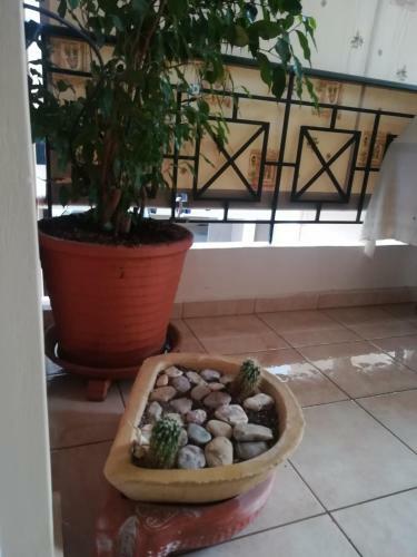 Quiet Spacious Apartment In Nafplio