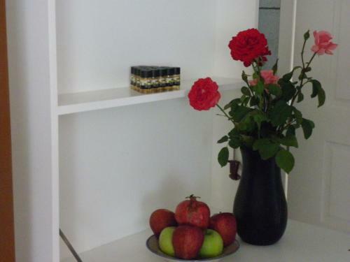 Areti Central Apartment