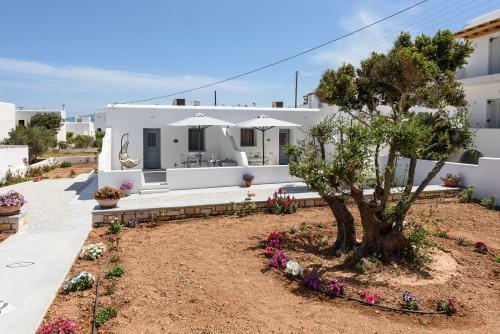 Apartamento Parian Dream
