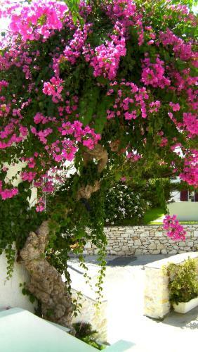 Apartamentos Astoria Paros