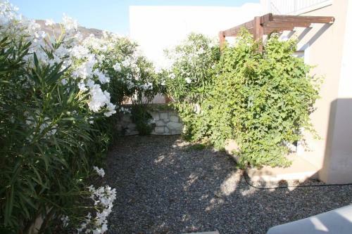 Villa Sea Front House