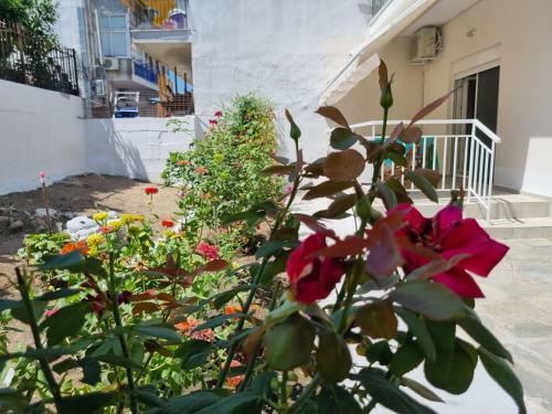 Apartamento Cosy And Modern Appartment In Olympiada