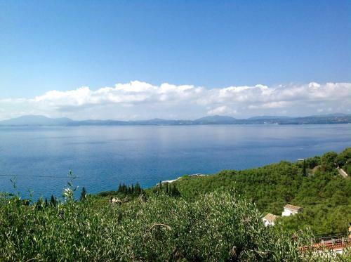 Apartamento Amalia Complex