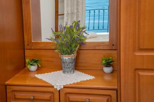 Apartamento Amalia Complex