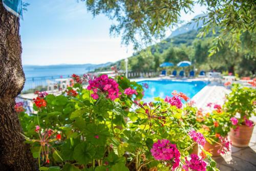 Apartamento Amalia Complex