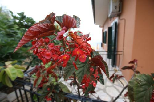 Apartamento Amalia Complex