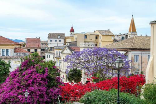 Apartamento Amalia Complex