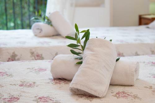 Apartamento Amalia Complex