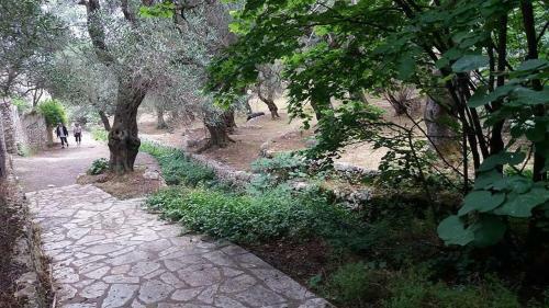 Apartamento Amalia Complex
