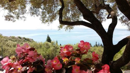 Apartamento Amalia Complex