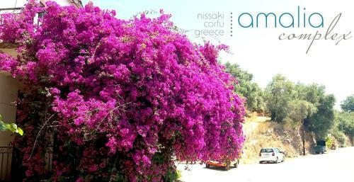 Apartamento Amalia Complex