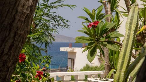 Vera's Sunny Apartment - 2bd - Steps To Beach - Kitchen - Free Parking
