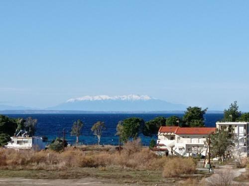Apartamento Crystal House