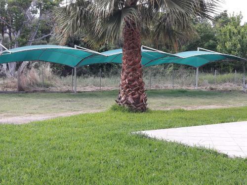 Apartments Marianna