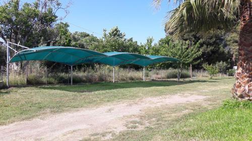 Apartments Marianna