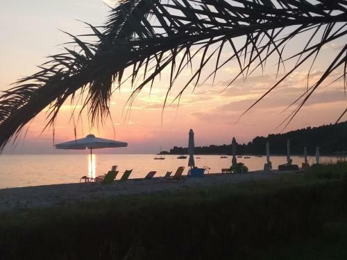 Sunny Villa Sea View