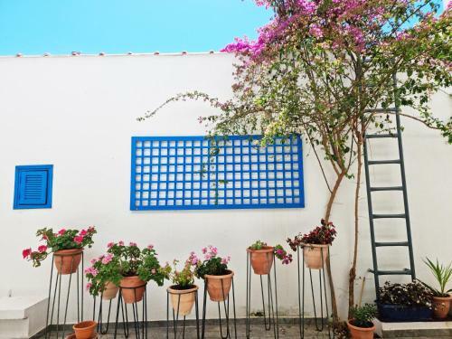 Apartamento Casa Di Estella