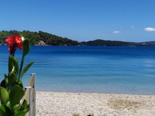 Apartamento Villa Arktos