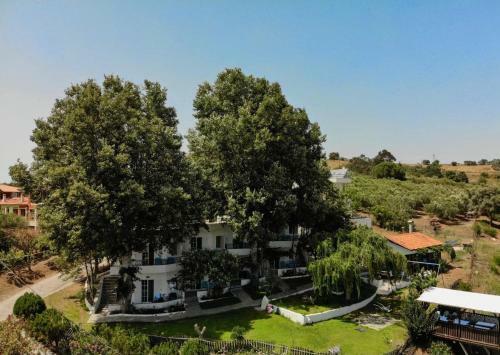 Dream Hill Athos