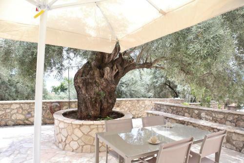 Lefkada Dikran's Guest House