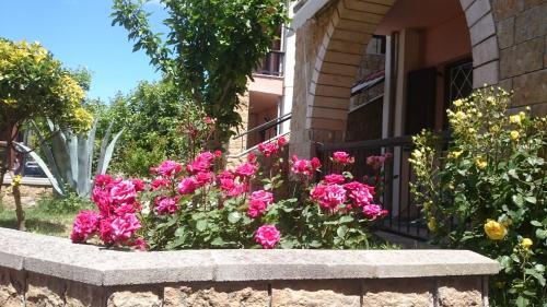 Apartamento Ferienapartment At Home Ouranoupolis