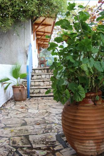 Villa Krassi