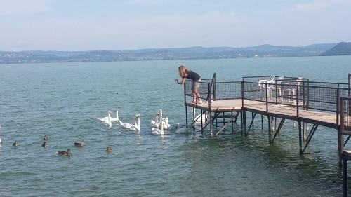 Hostal Gr�nit Villa