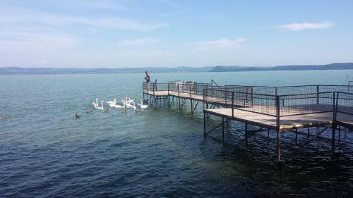 Hostal Gr�nit Villa