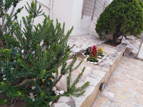 Apartamento Treasures B&B