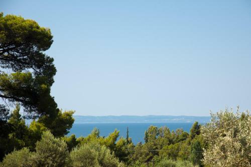 Quintessence Villas Colline