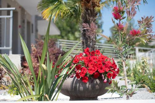 Apartamento Villa Sara