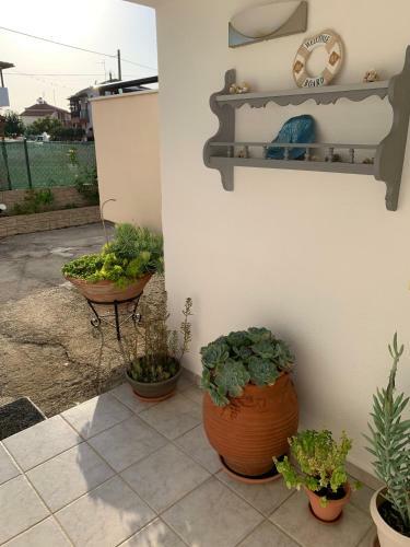Apartamento Stella's House