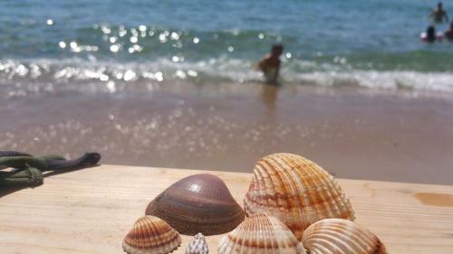 Apartamento Sweet Home With Spectacular Sea View