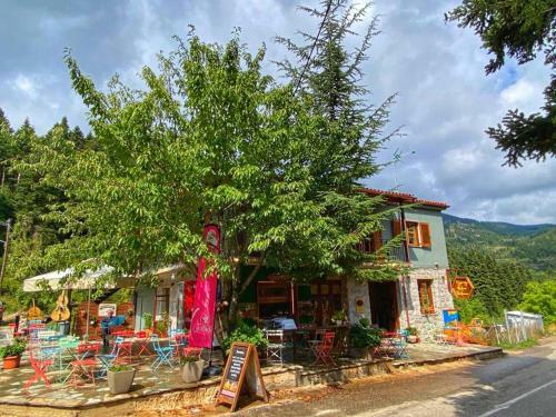 Apartamento Pavliani House