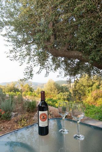 ????? ?? ????? - Winelandithaca
