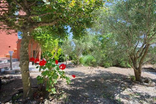 Apartamento Angel Suite