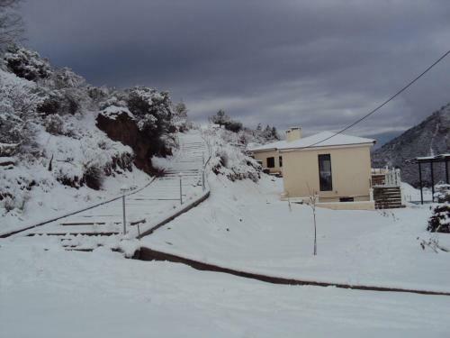 Pleiades Village