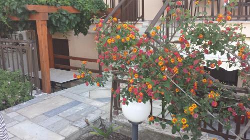 Apartamento Stavros House