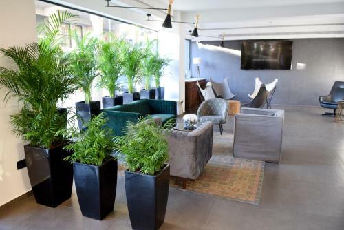 Adonis City Hotel