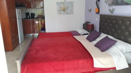 Apartamento House Stella