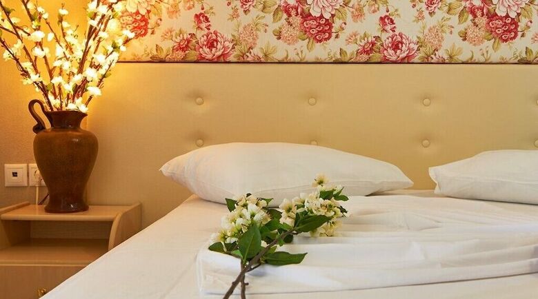 Hotel Viky