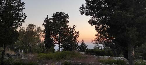 Apartamento Villa Olive Garden, Kastanida - Paxoi