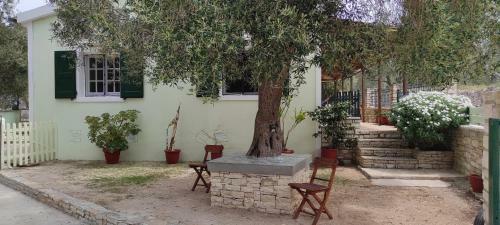 Apartamento Villa Olive Garden, Kastanida - Paxoi