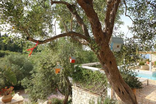 Hostal Opera House Paxos