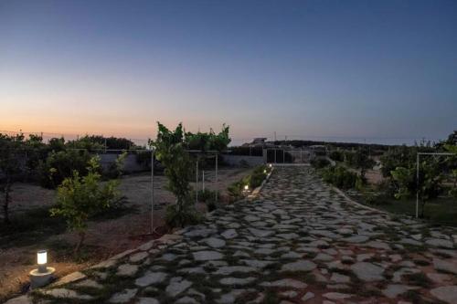 Anemones Apartments (3)