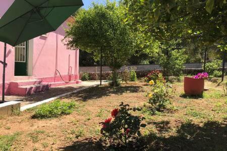 Sofis House( Pink House)